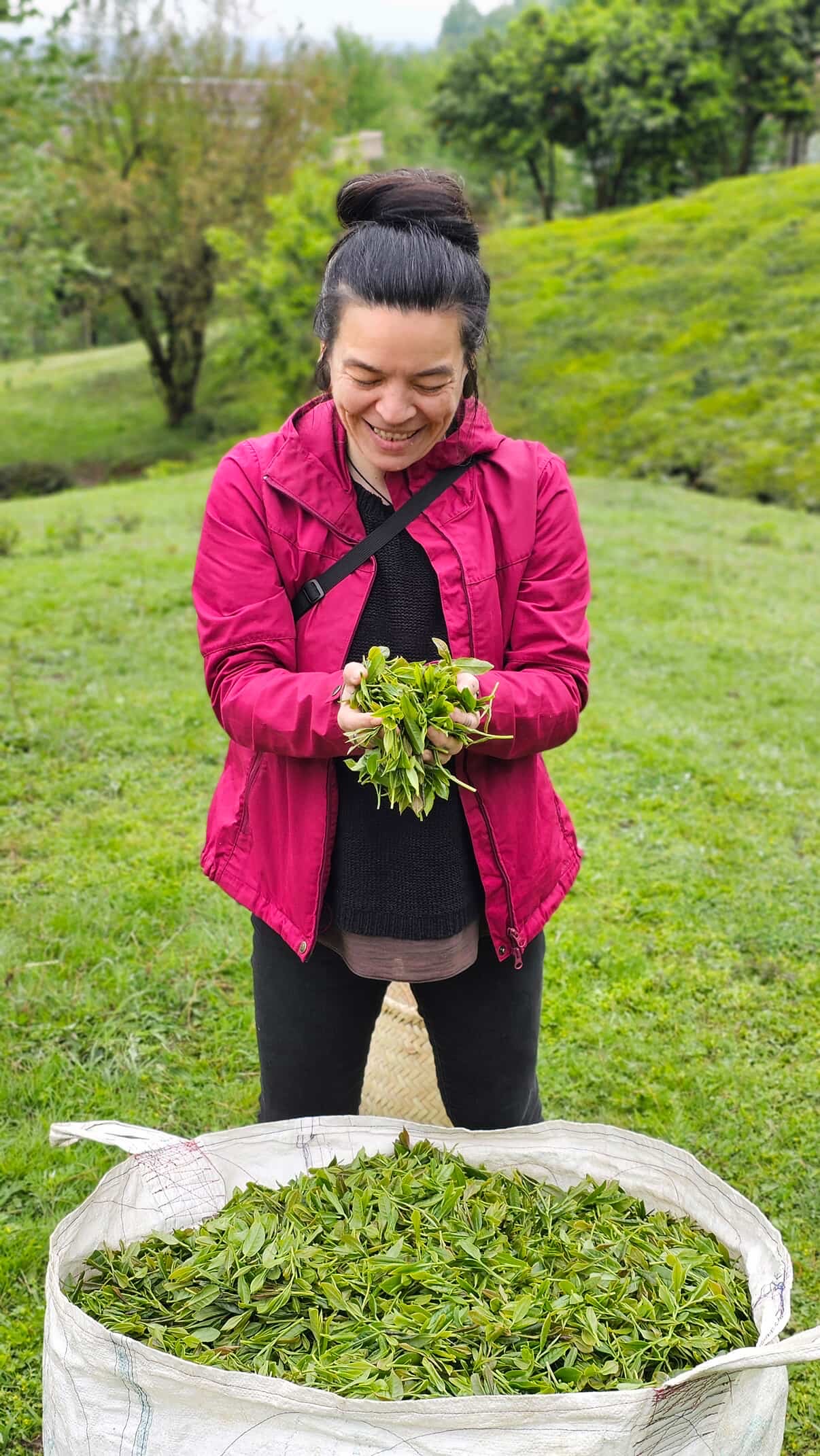 Fluffy Tea "Special Tasting of Liu Bao " - 29.03.2026 | 13:00 Uhr - English! – Bild 2