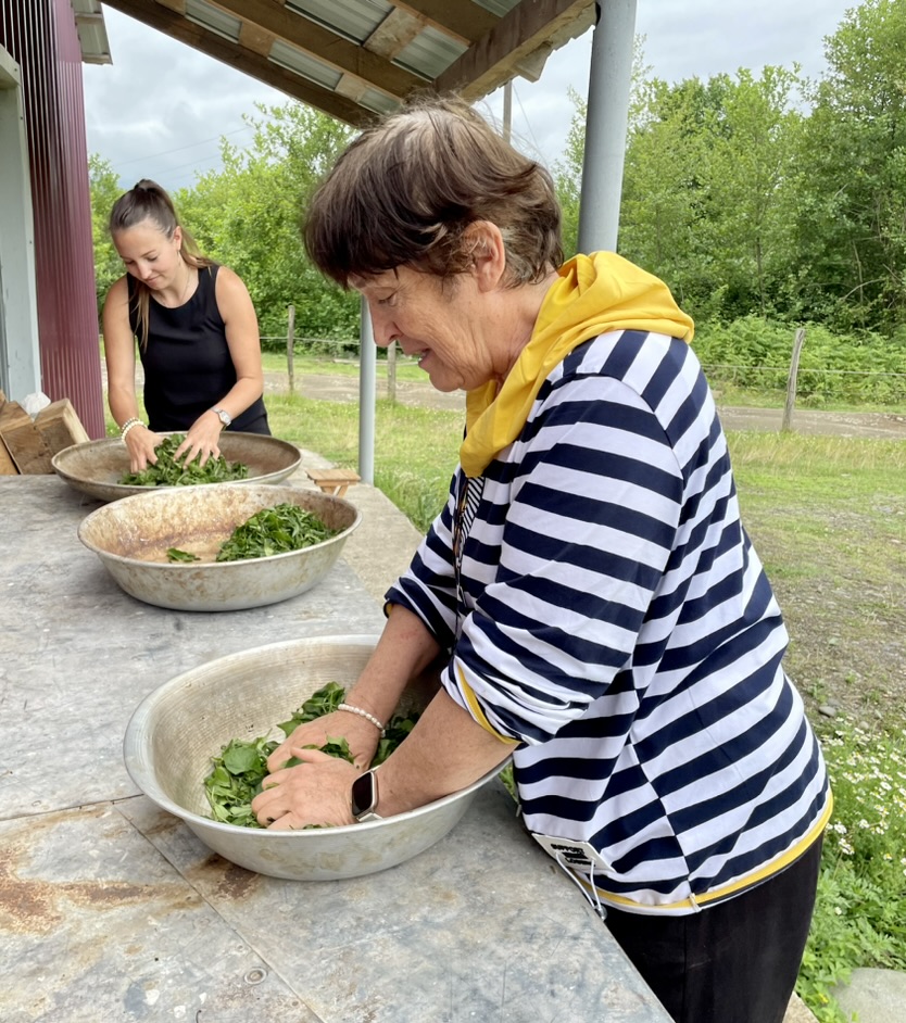 Sicaj "Tea as a detective story " - 29.03.2026 | 17:00 Uhr - English! – Bild 3