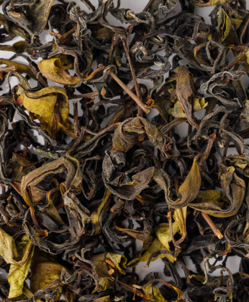 Alternative view of Longchá Bio