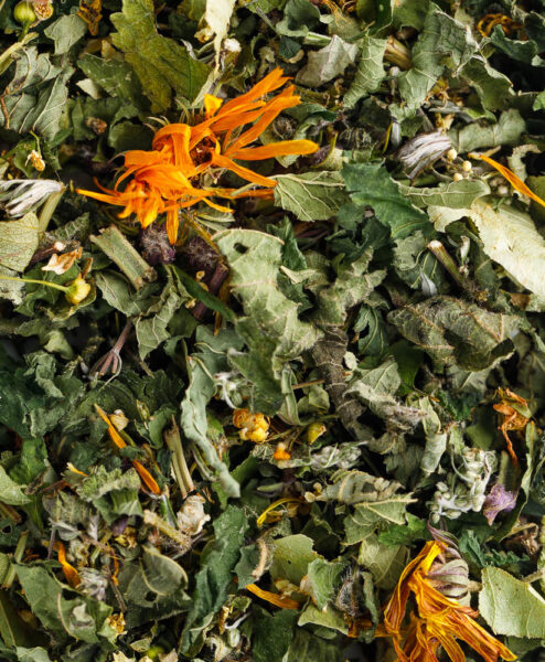 Alternative view of Kräutersegen Lebenskraft Bio