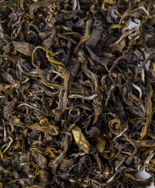 Alternative view of ExperTea Taliensis Bio