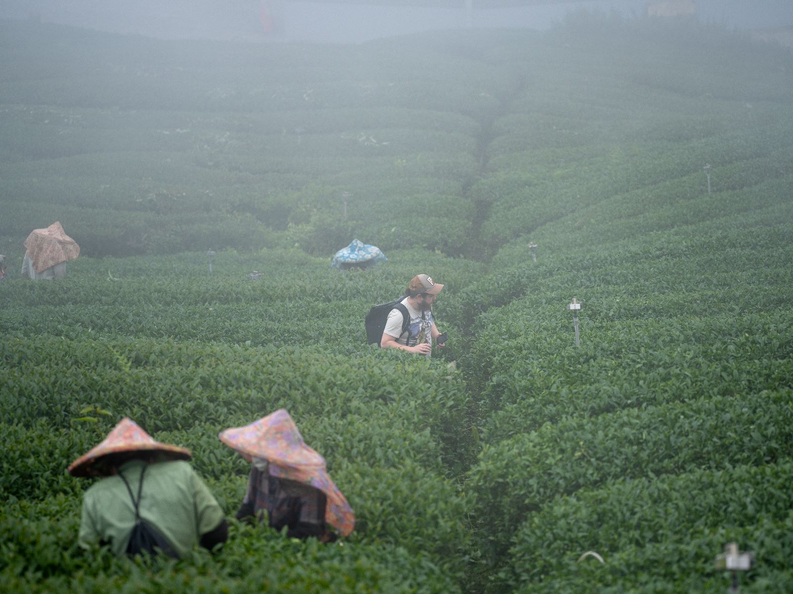 thetea.pl "Deep Dive into Sheng" - 29.03.2026 | 15:00 Uhr English! – Bild 3